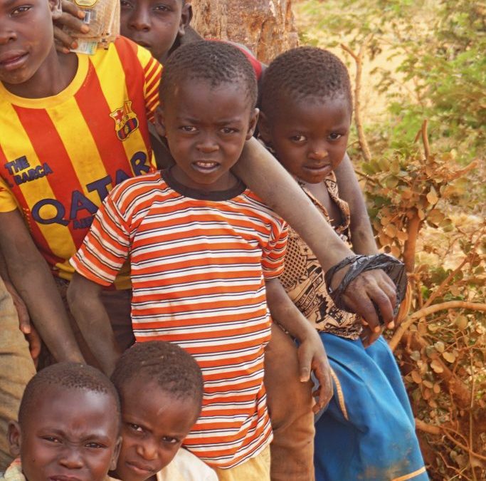 Bibles for orphans